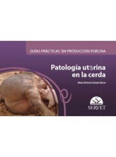 guias practicas en produccion porcina. patologia uterina en la cerda-maria victoria falceto recio-9788418020131