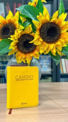 camino (bolsillo, piel sintetica)-9788432168031