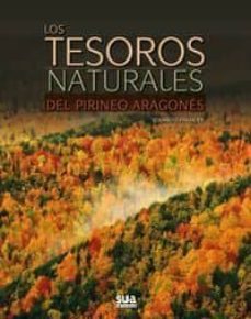 los tesoros del pirineo aragones-9788482166131