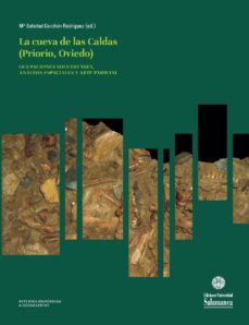 los foliaceos de la cueva de las caldas: procesos tecnologicos y cadenas operativas (ebook)-francisco j. vicente santos-mª soledad corchon rodriguez corchon rodriguez-eh0166p209231