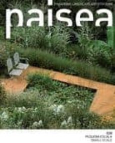 paisea 28: pequeña escala (ed. bilingue español-ingles)-2910017671941