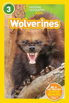 wolverines (national geographic kids readers, level 3) (ebook)-melissa stewart-9781426332241