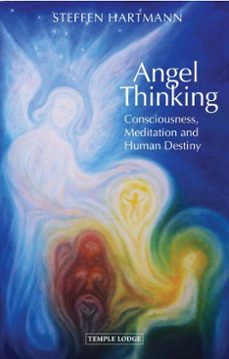 angel thinking (ebook)-steffen hartmann-9781915776341