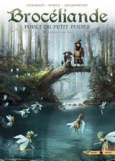 broceliande t05 - le miroir aux fees (ebook)-sylvain cordurie-9782302073241