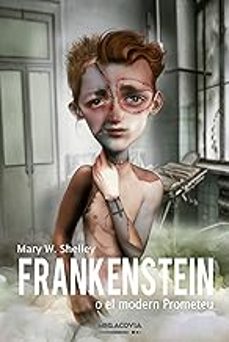 frankenstein o el prometeu modern-9788413586441