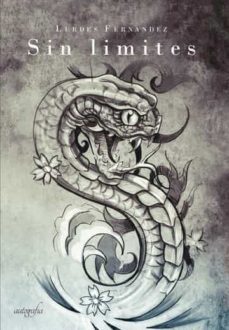 sin limites-lurdes fernandez-9788419198341