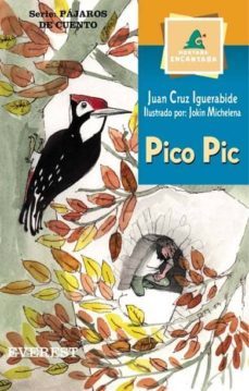 pico pic. pajaros de cuento-9788424185541