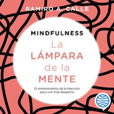 -ramiro calle-9788427055841