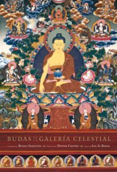 budas de la galeria celestial-romio shrestha-9788484454441