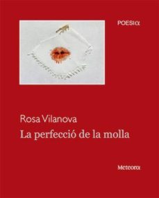 la perfeccio de la molla-rosa vilanova-9788494362941