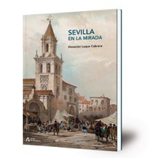 sevilla en la mirada: donacion luque cabrera-virginia marques ferrer-blanca muruve luna-9788499594941