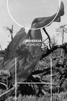 odisseia (ebook)-9788592886141