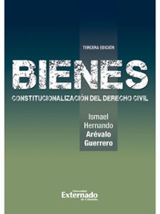 bienes constitucionalizacion del derecho civil (ebook)-ismael hernando arevalo guerrero-9789587908541