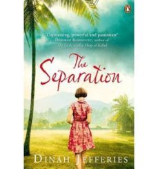 the separation-dinah jefferies-9780241966051