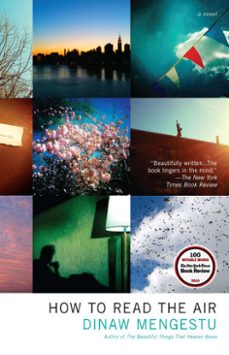 how to read the air (ebook)-dinaw mengestu-9781101444351