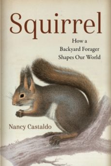 squirrel-nancy castaldo-9781642833751