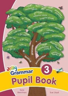 grammar 3 pupil book-sara wernham-sue lloyd-9781844144051