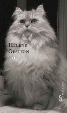 toi (ebook)-helene gestern-9782021595451