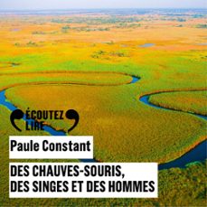 des chauves-souris, des singes et des hommes (audiolibro)-paule constant-9782072701351