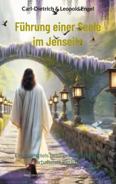 fuhrung einer seele im jenseits (ebook)-9783759741851