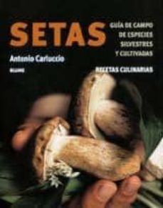 setas: guia de campo de especies silvestres y cultivadas-9788480765251