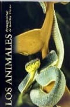 los animales-9788484472551