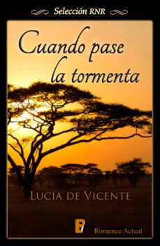 cuando pase la tormenta (ebook)-9788490690451
