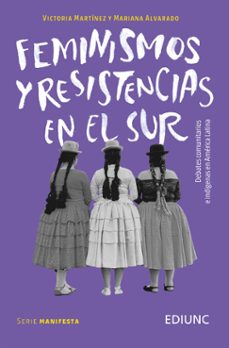 feminismos y resistencias en el sur (ebook)-victoria martinez-mariana alvarado-9789503904251