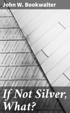 if not silver, what? (ebook)-john w. bookwalter-4064066163761