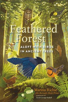 feathered forest (ebook)-marina richie-9781645022961