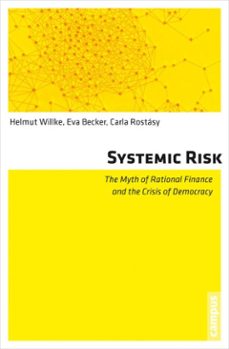 systemic risk (ebook)-helmut willke-eva becker-carla rostásy-9783593421261