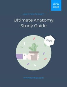 ultimate anatomy study guide (ebook)-9783962983161
