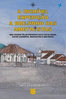a incrivel expediço a brejinho das amethystas (ebook)-9786583742261