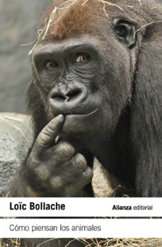 como piensan los animales-loic bollache-9788411489461