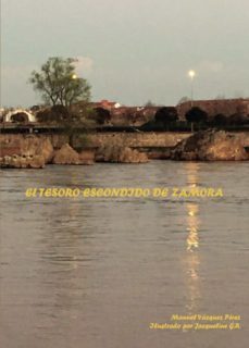 el tesoro escondido de zamora (ebook)-9788419309761