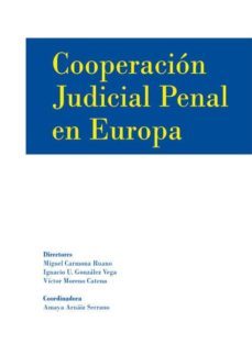 cooperacion judicial penal en europa-9788490317761