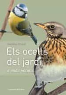 els ocells del jardi a mida natural: a mida real-daniela straub-9788490347461
