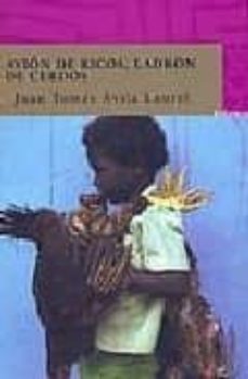 avion de ricos, ladron de cerdos-luis avila-9788496501461