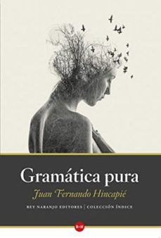 -juan fernando hincapie-9789585739161