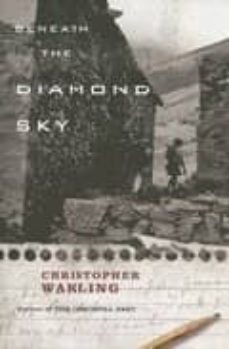 beneath the diamond sky-christopher wakling-9780330435871
