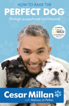 how to raise the perfect dog-cesar millan-9780340993071