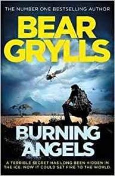 burning angels-9781409156871