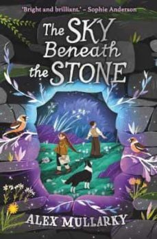 the sky beneath the stone-9781782507871