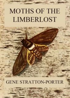 moths of the limberlost (ebook)-gene stratton porter-9783849648671