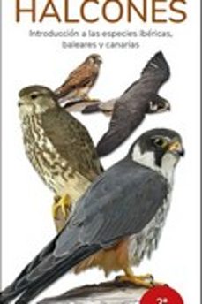 halcones (guias desplegables tundra)-victor j. hernandez-9788418458071