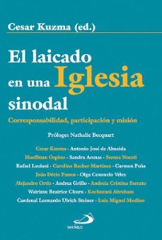 el laicado en una iglesia sinodal (ebook)-9788428572071