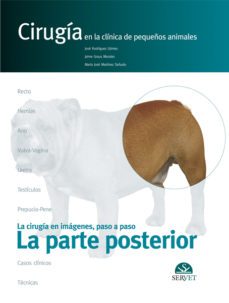 cirugia en la clinica de pequeños animales. la parte posterior-jose benito rodriguez gomez-m.j. martinez sañudo-9788493292171