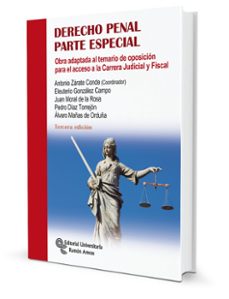 derecho penal. parte especial-9788499613871
