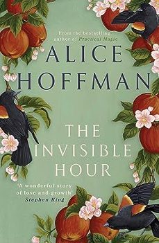 the invisible hour-9781398526181