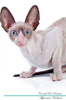 cornish rex affirmations workbook cornish rex presents-9781526968081
